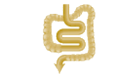 Icono 3