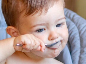 Buscador de Productos