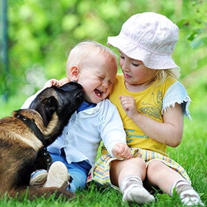 Mordeduras de perro: ¿Cómo prevenirlas? Mordeduras de perro: ¿Cómo prevenirlas?