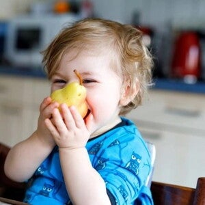 Nutrición en los niños Alimentos para el desarrollo del cerebro Nutrición en los niños Alimentos para el desarrollo del cerebro