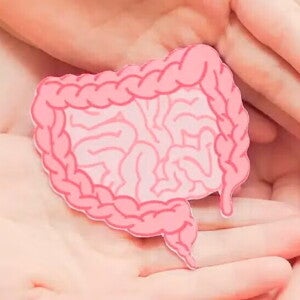 Prebióticos: ¿Qué son? ¿Qué función tienen? ¿Dónde están presentes?