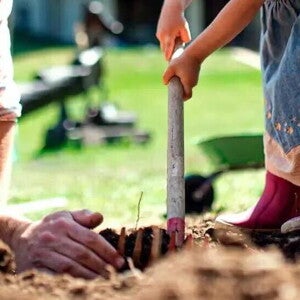 Los alimentos orgánicos y los beneficios que tienen para tus hijos Los alimentos orgánicos y los beneficios que tienen para tus hijos