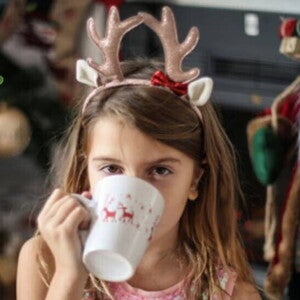 Lácteos en navidad Asegura el consumo de lácteos en la comida en navidad
