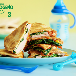 Quesadillas de pollo y espinaca NESTOGENO® 3