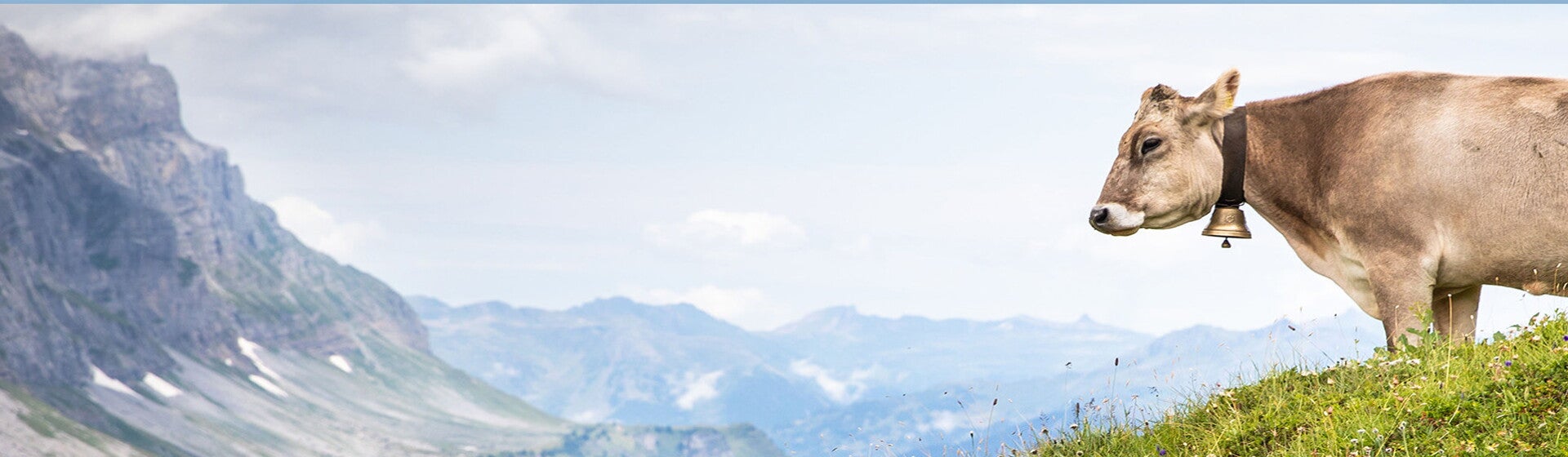 Banner A2