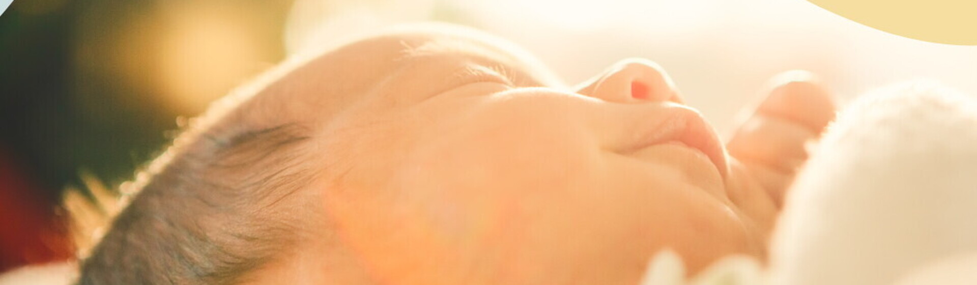 banner-mobile-etapa-de-0-a-6-meses.jpg banner-mobile-etapa-de-0-a-6-meses.jpg