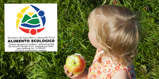 header_bc_gerber_co header_bc_gerber_co