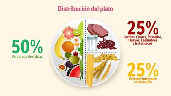 Distribución del plato Distribución del plato