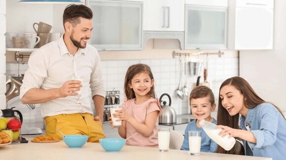 tipos de alimentos