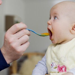 bebe gerber